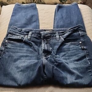Silver Blue Jeans / 31Wx L27